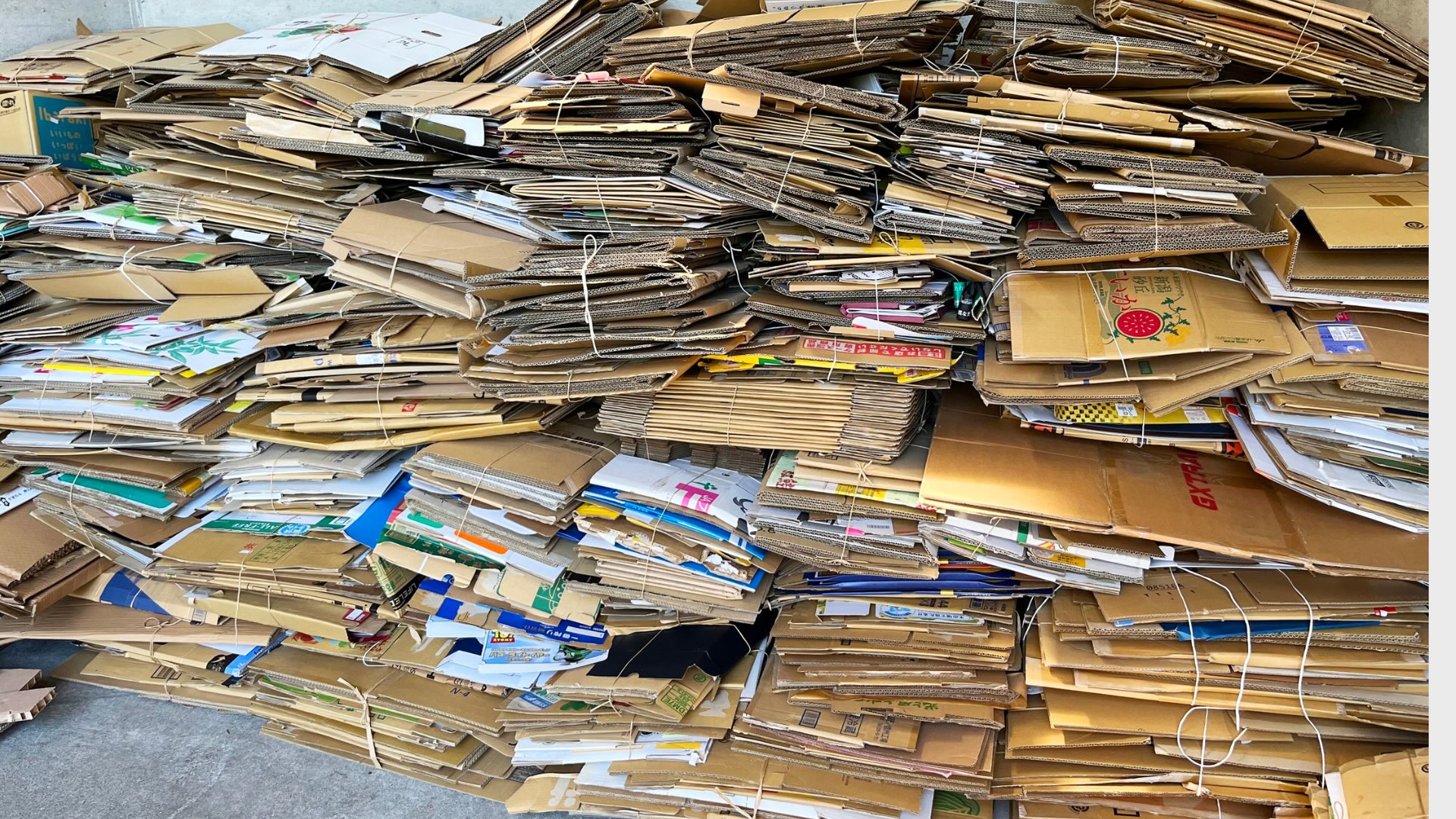 REC header options - 5